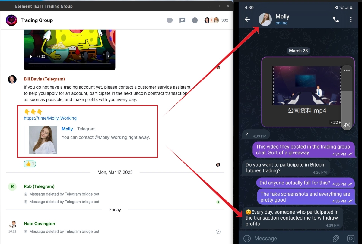 The Anatomy of a Bitcoin Trading Scam: How Fake Telegram Groups Lure Victims